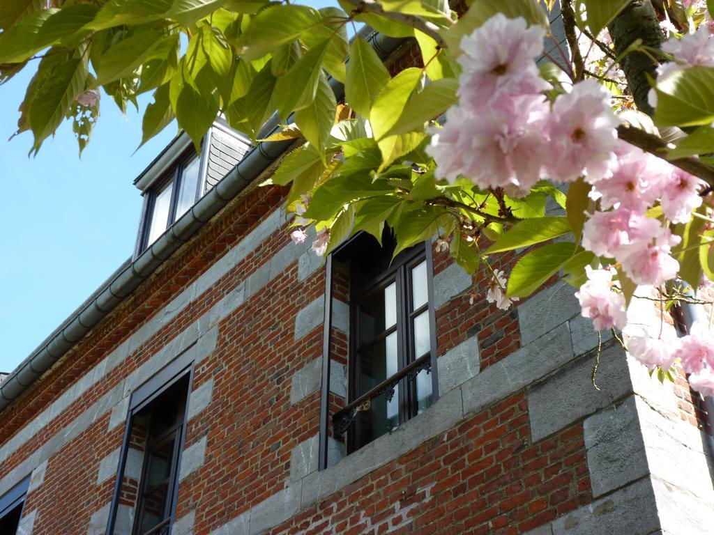 Aubepine Bed & Breakfast Sains-du-Nord Ngoại thất bức ảnh